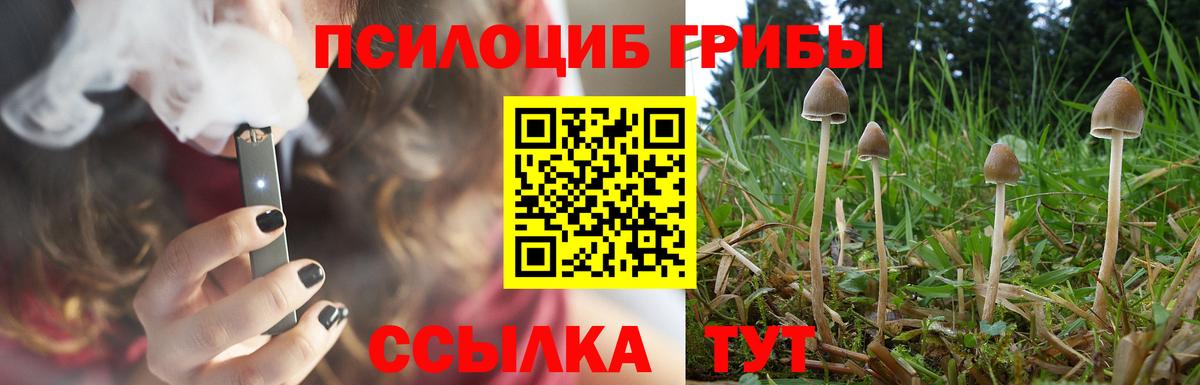 Псилоцибиновые грибы ЛСД Глазов